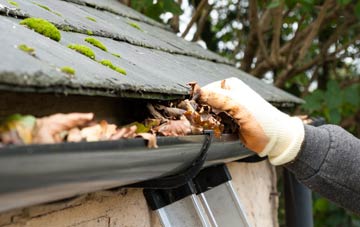 gutter cleaning Carrowdore, Ards