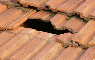 roof repair Carrowdore, Ards