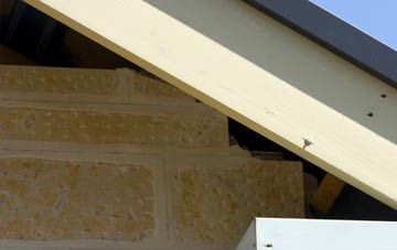 soffit repair Carrowdore